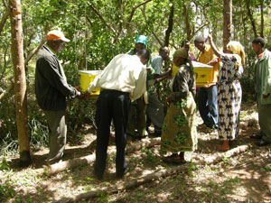 farm-africa