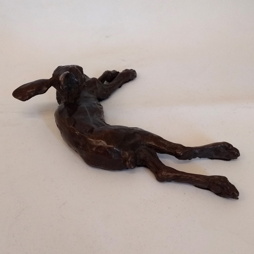 hare lying down