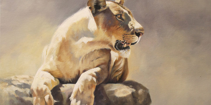 Lioness in the Mara