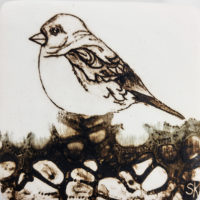 Single bird - Image 4