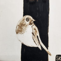 bird drawing