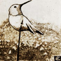 Single bird - Image 2