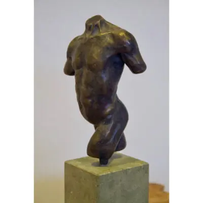 male torso