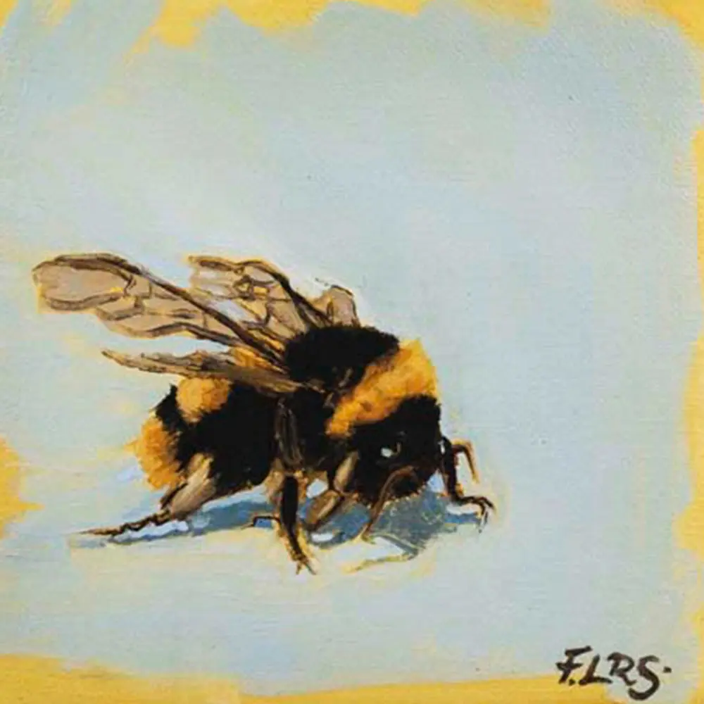 Bee study