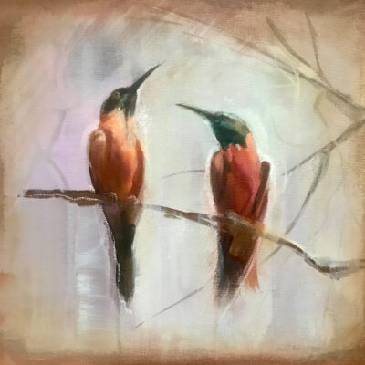 carmine bee-eaters
