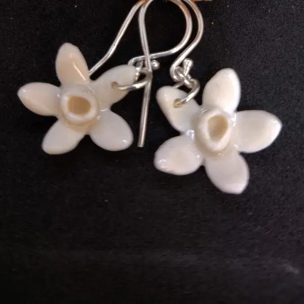 daffodils