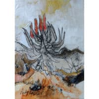 aloes