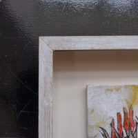 framed aloes