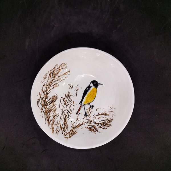 bird bowl