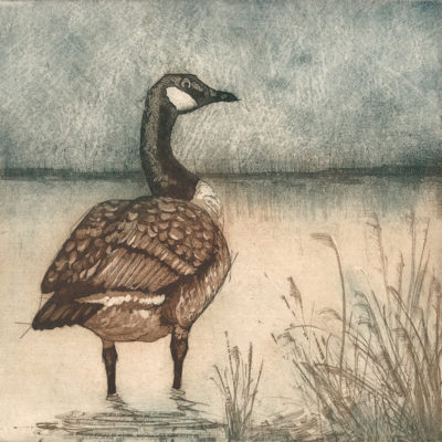 goose etching