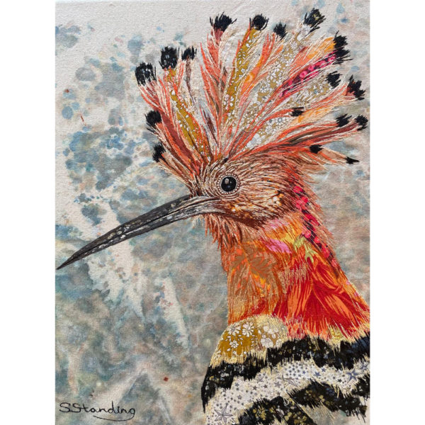 Hoopoe