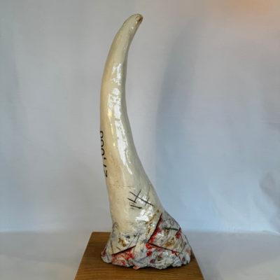 rhino horn