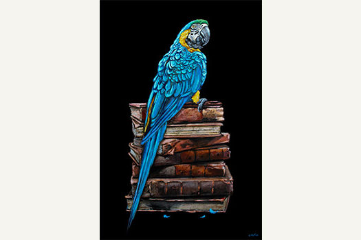 blue parrot