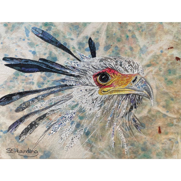 secretary bird