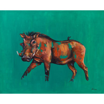 warthog