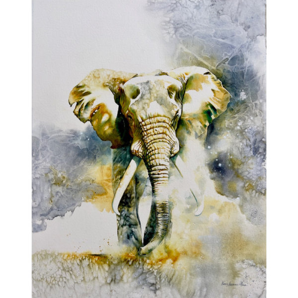 dusty elephant