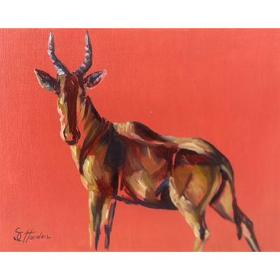 hartebeest