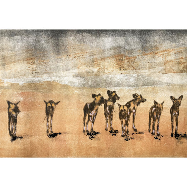 pack of dogs