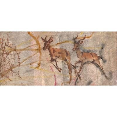 impala