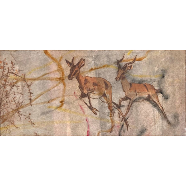 impala