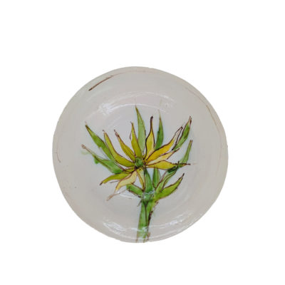 aloe