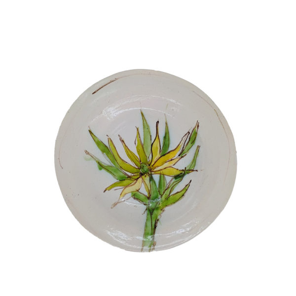 aloe