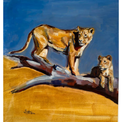 lionesses
