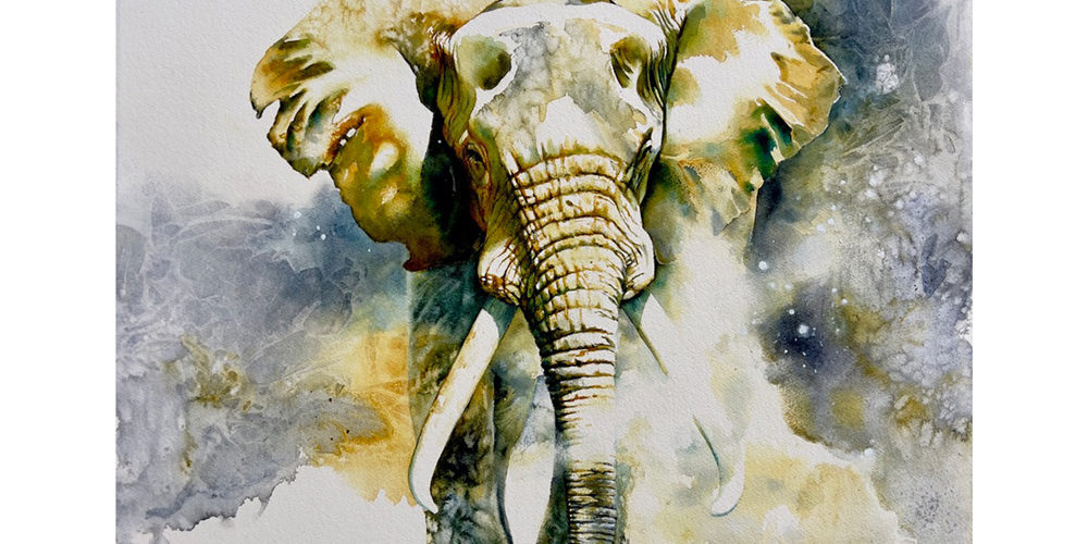 bull elephant