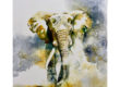 bull elephant