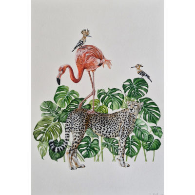 hoopoe