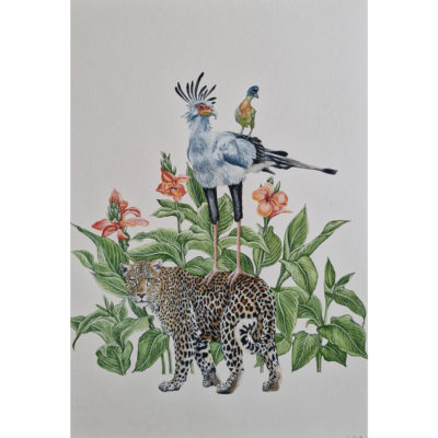 secretary bird