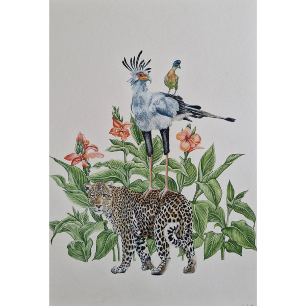 secretary bird