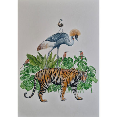 tiger