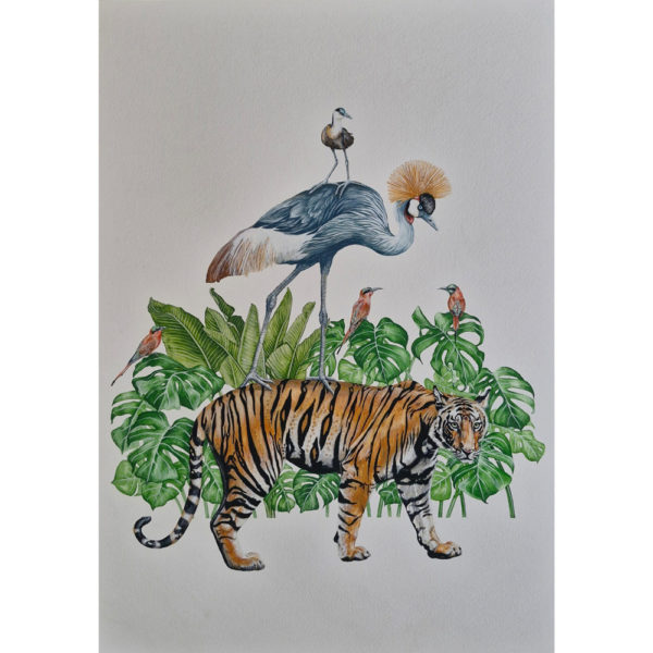 tiger