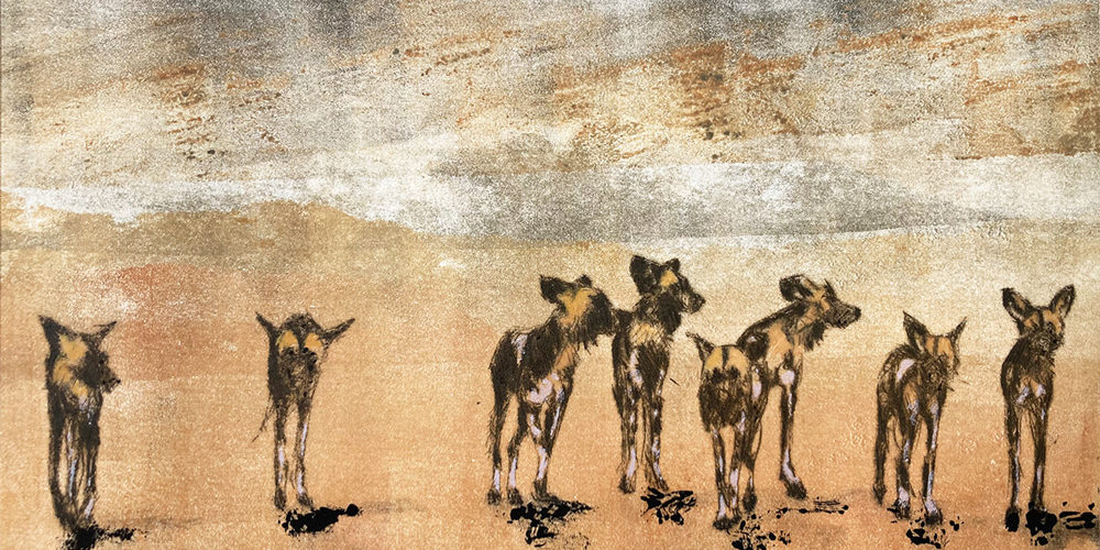 wild dogs