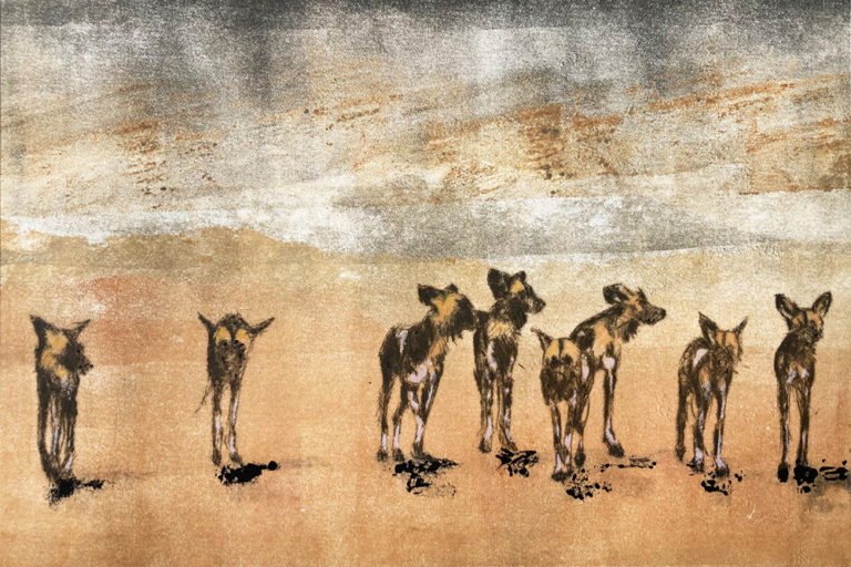 wild dogs