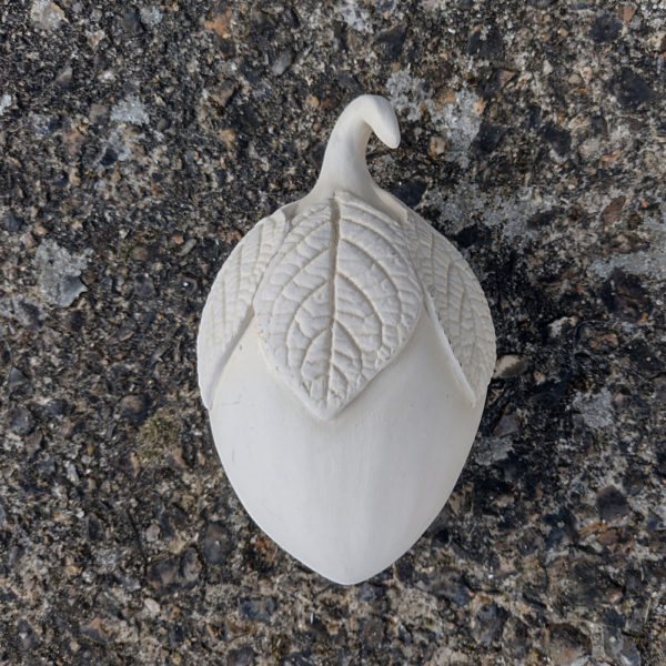 Seed pod - Image 3