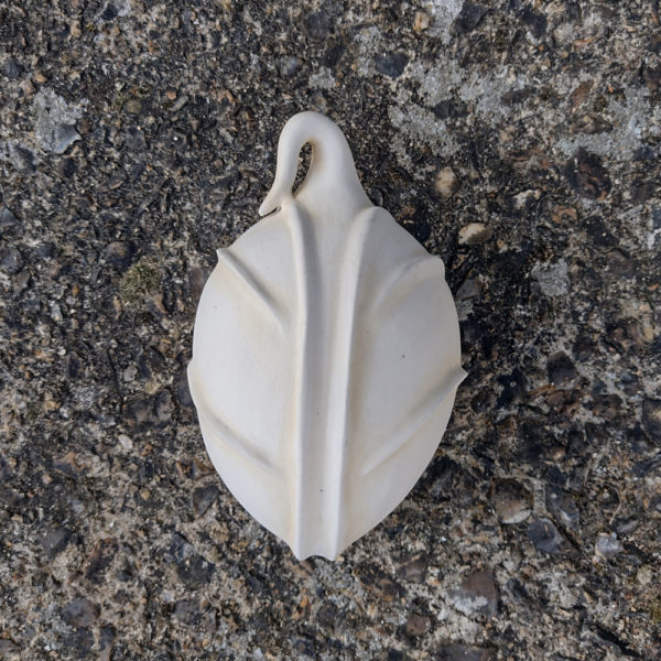 Seed pod - Image 2