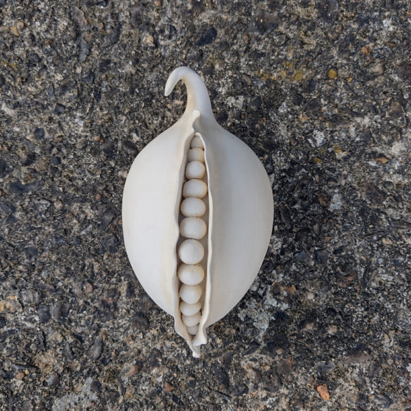 Seed pod - Image 9