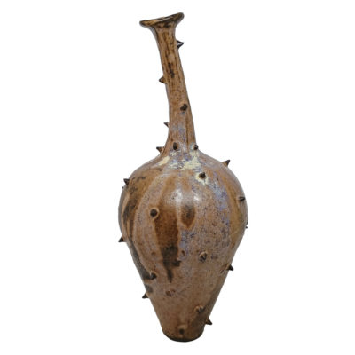 spikey fruit vessel