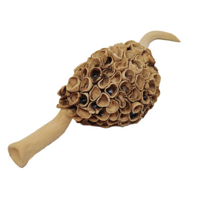 wasp nest