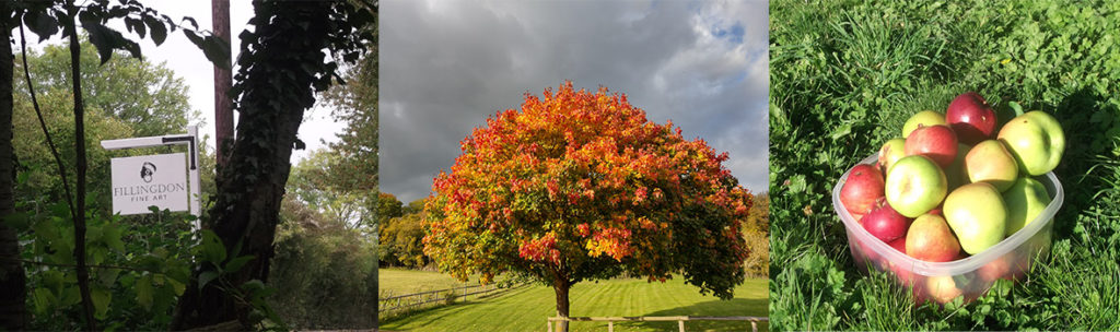 autumn colour