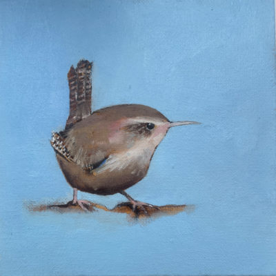 little bird