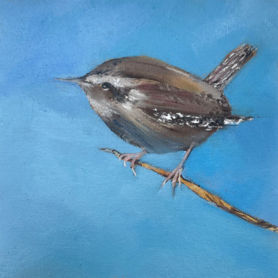 wren