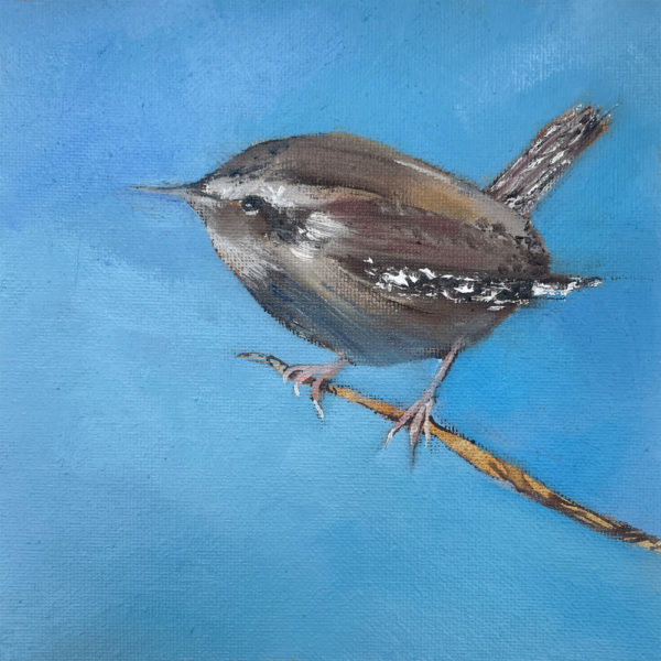 wren