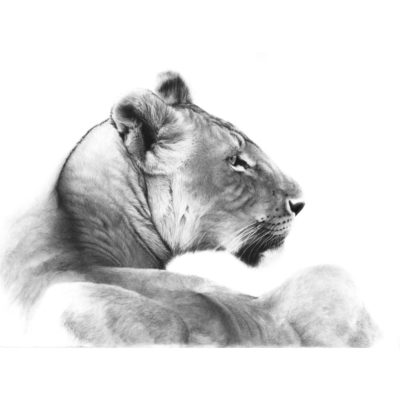 mara