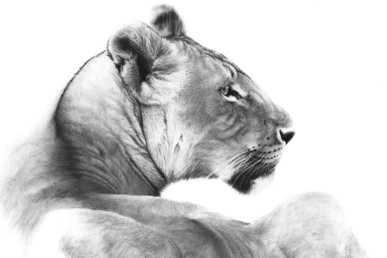 mara