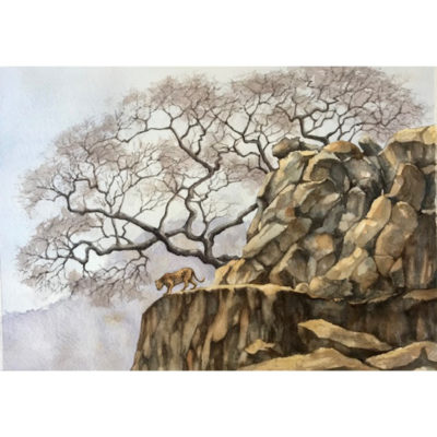 leopard