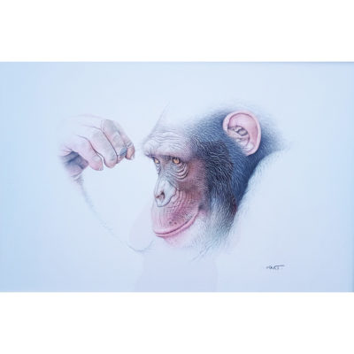 The Thinker