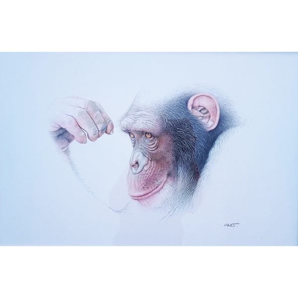 The Thinker